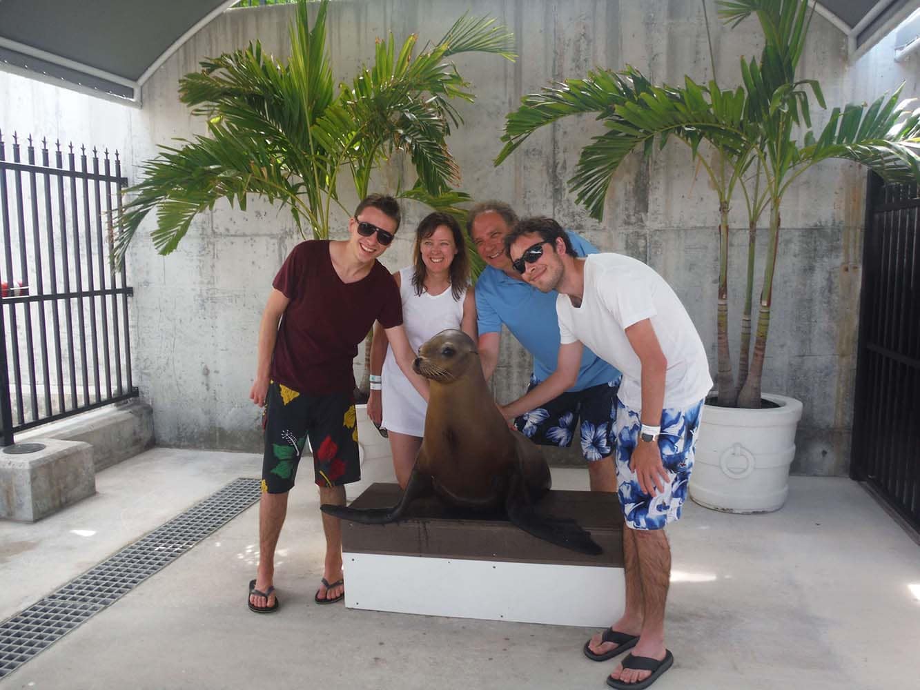 Adlers with Sea Lion